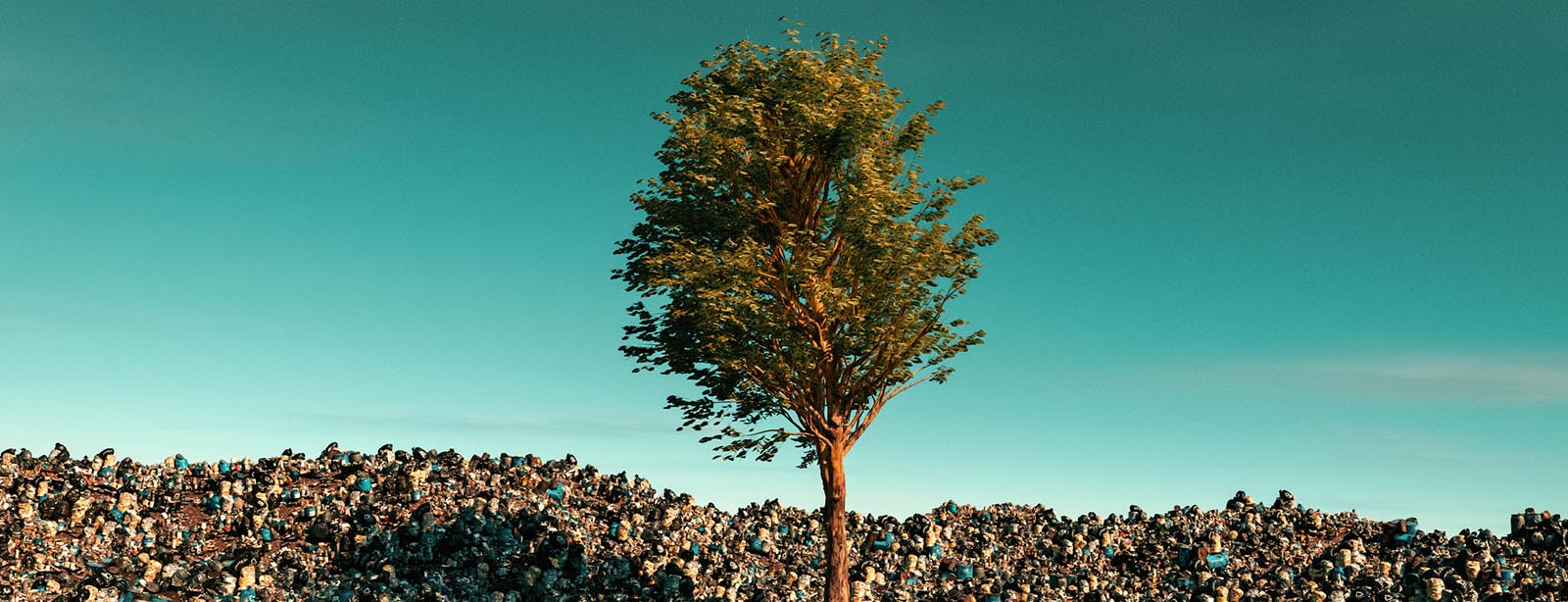 A single green tree in a trash heap.