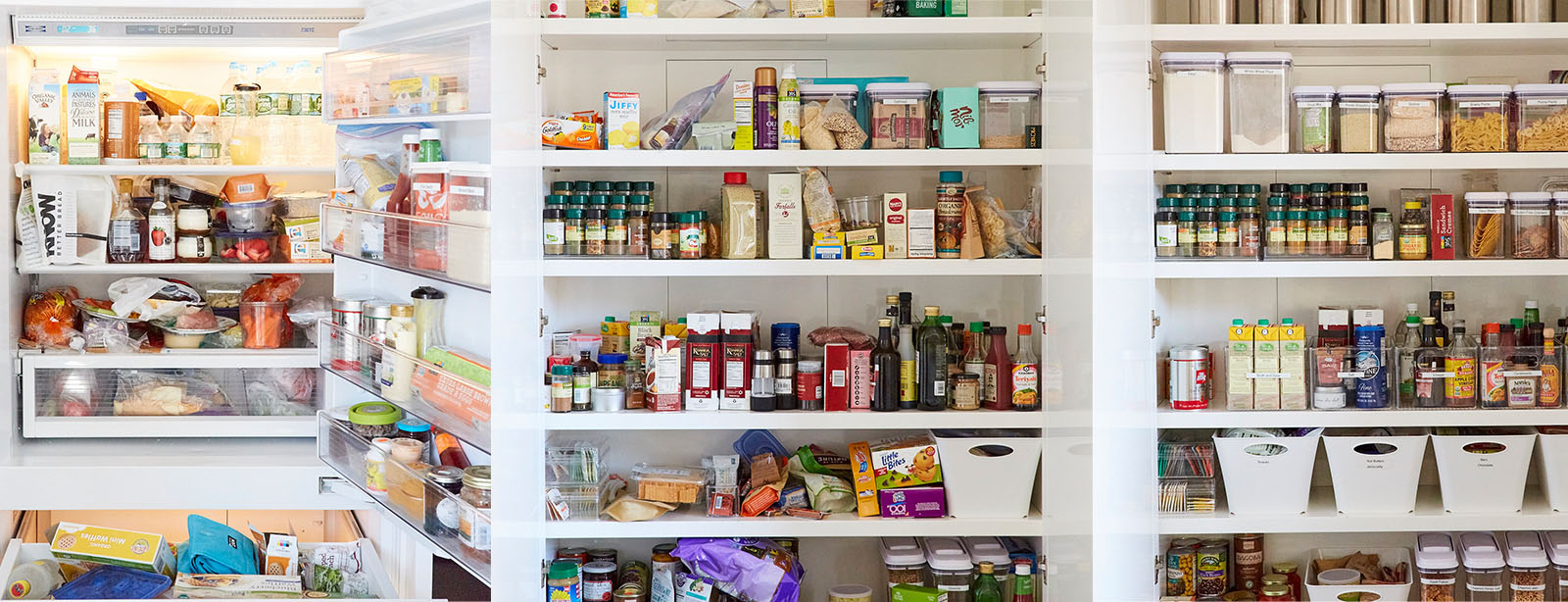 Some of Barbara Reich’s organizing projects