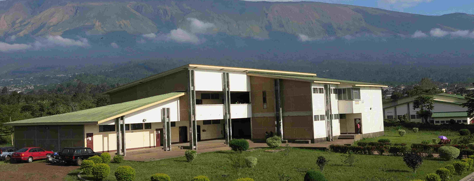 Silicon Mountain Cameroon Main