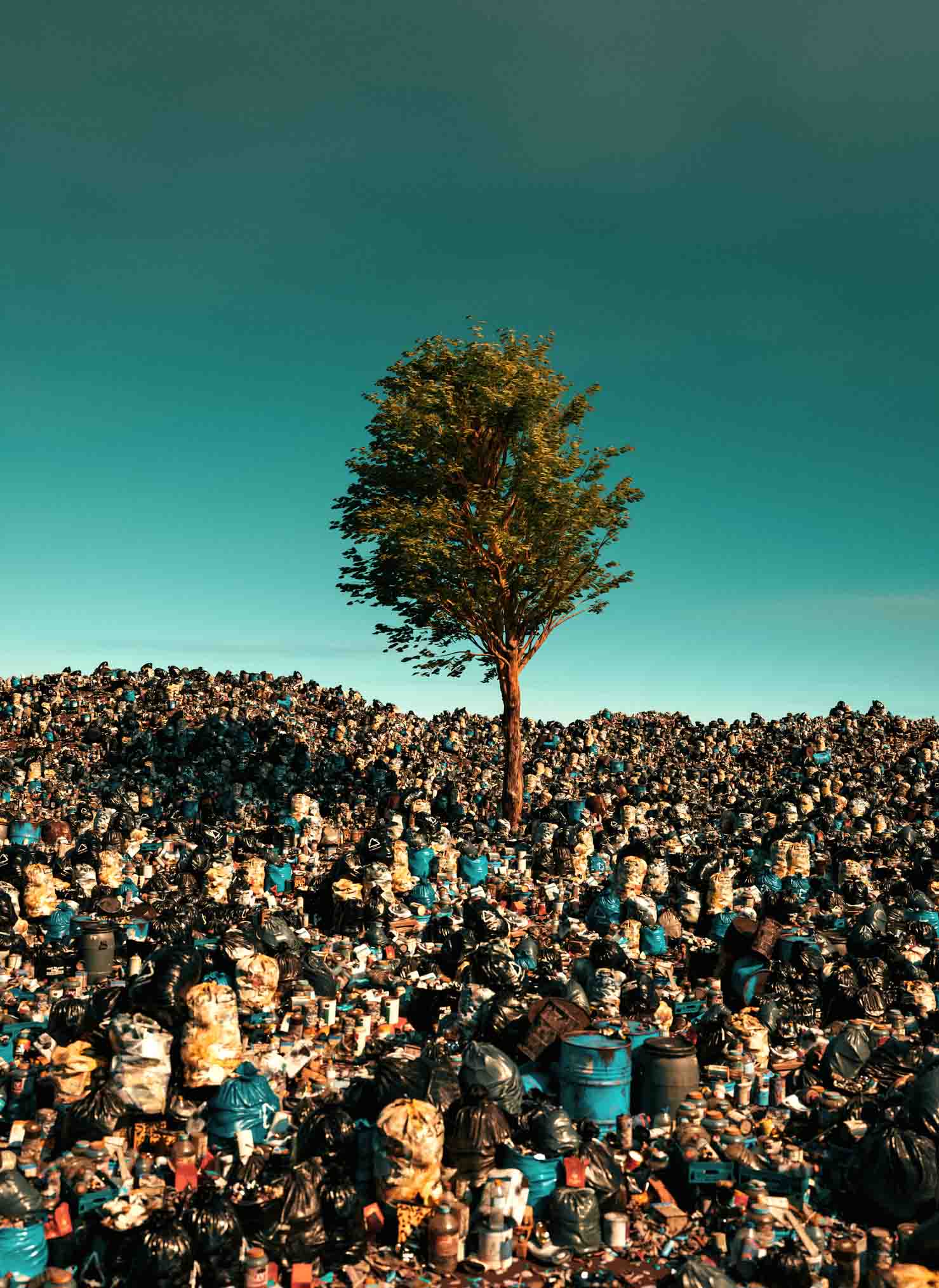 A single green tree in a trash heap.