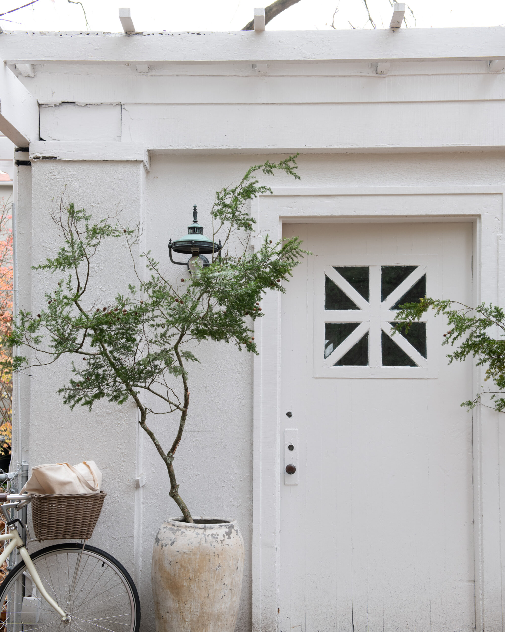 White shed door, small tree, and bicycle outside.