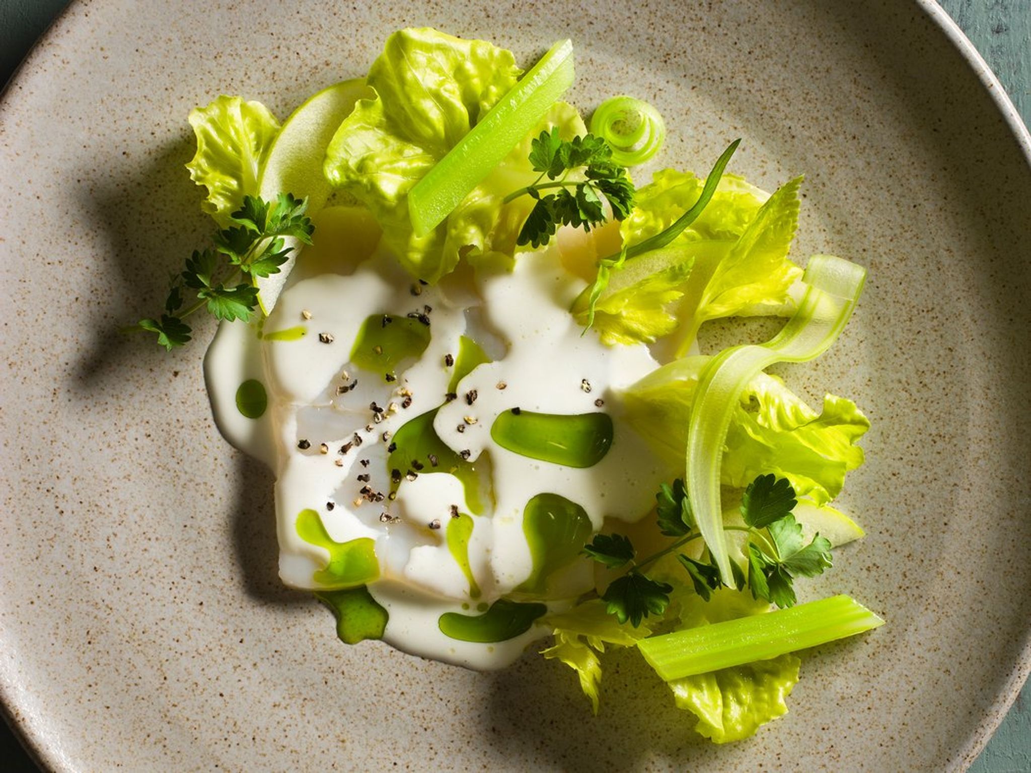 Elegant dish with white sauce, greens, and oil.