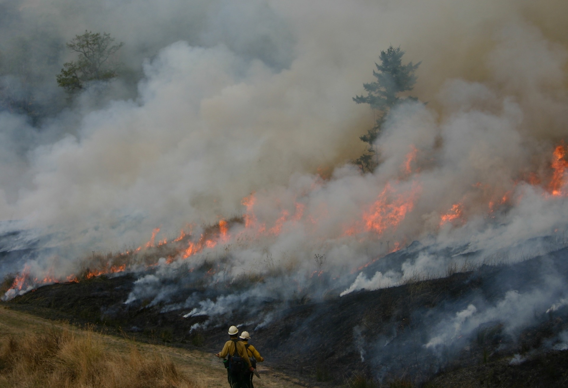 Firefighter battling house fire and smoke.