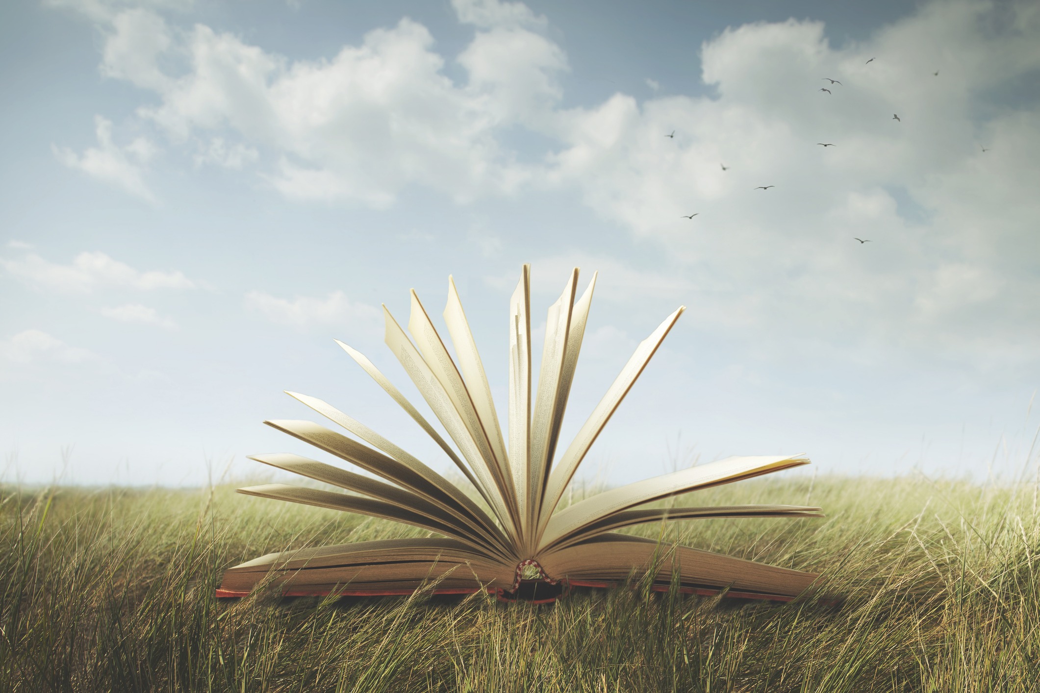 Open book outdoors in grassy field, nature.
