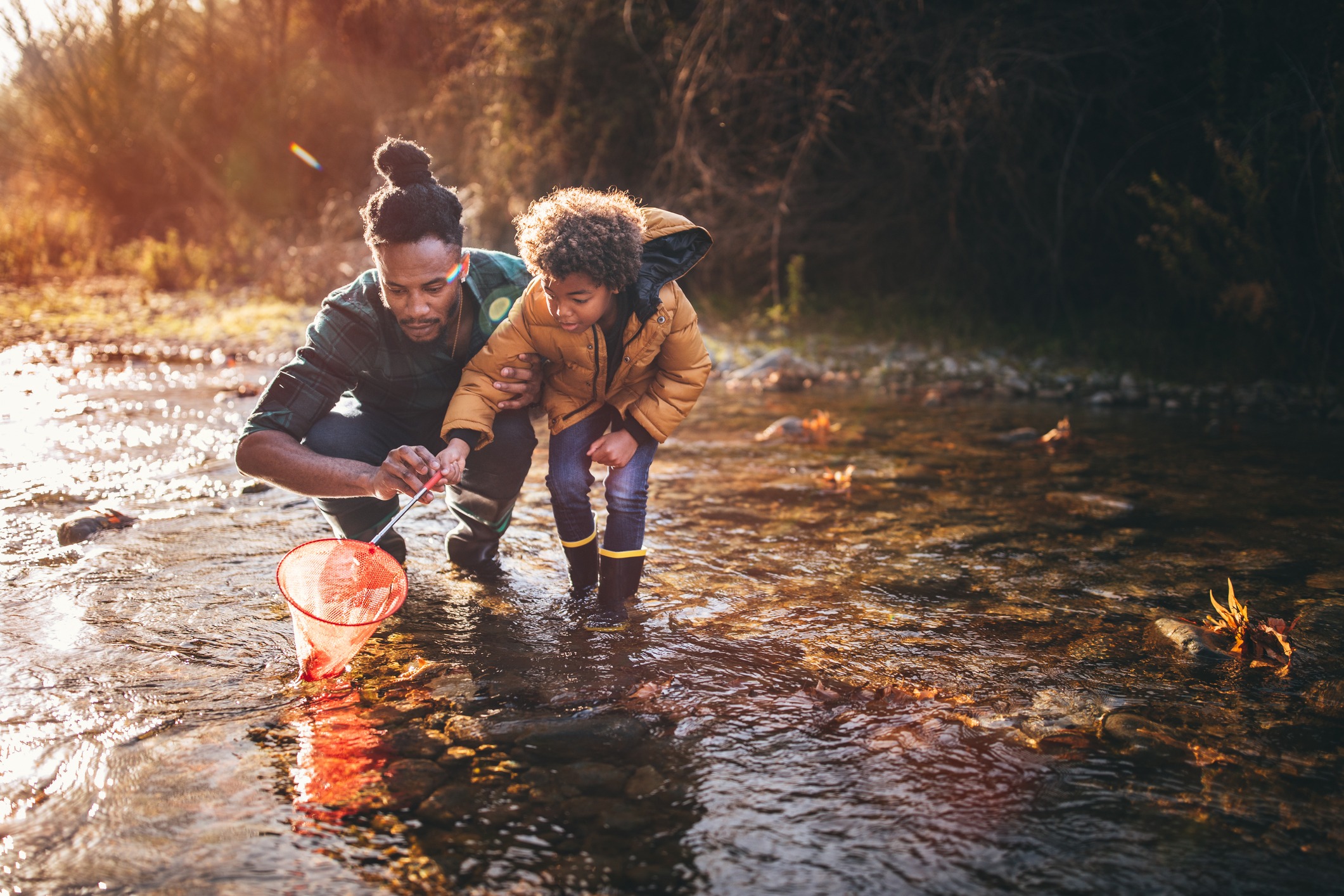 Father and son fishing with net in stream.
