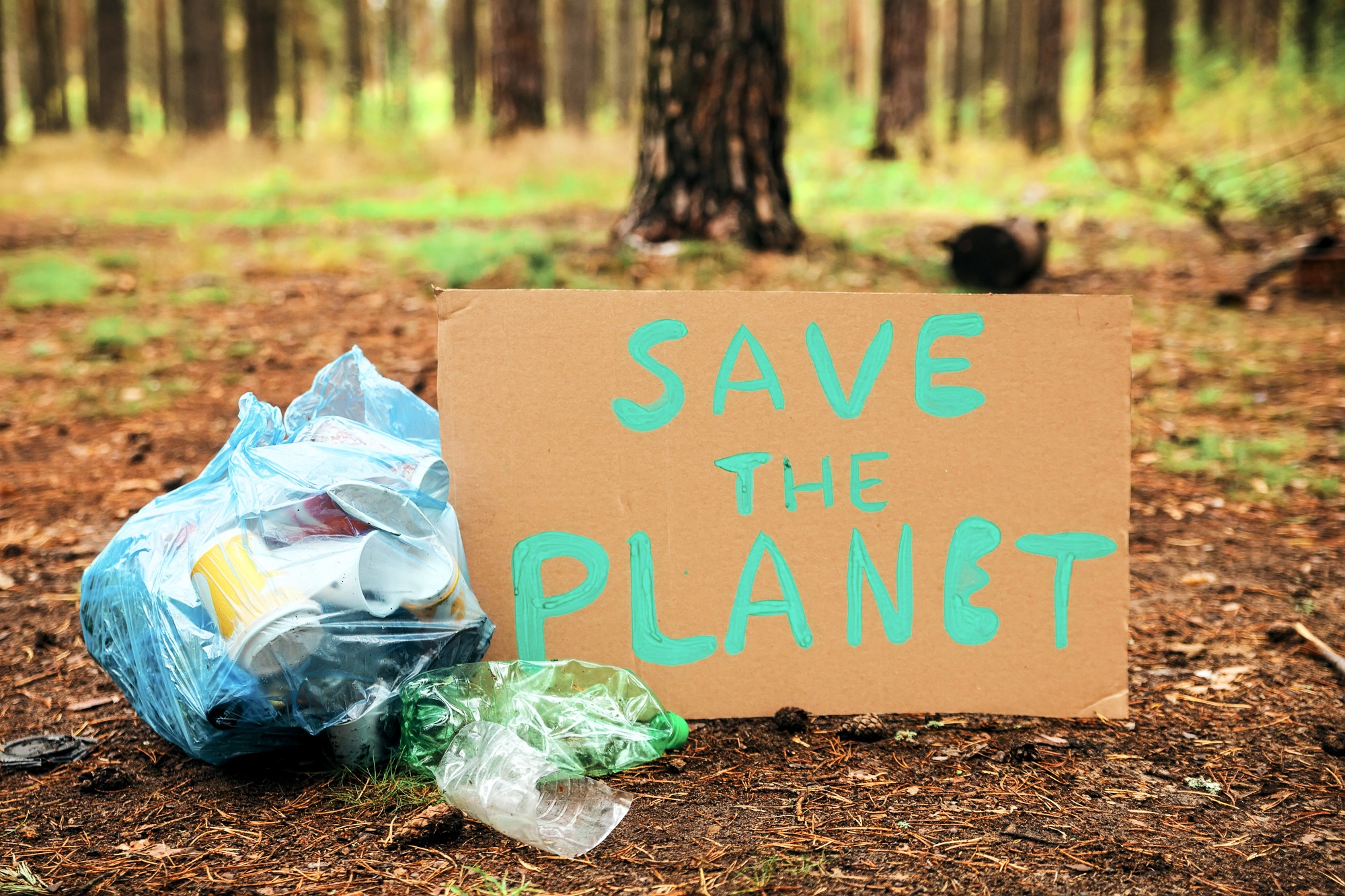 Cardboard sign Save The Planet in forest