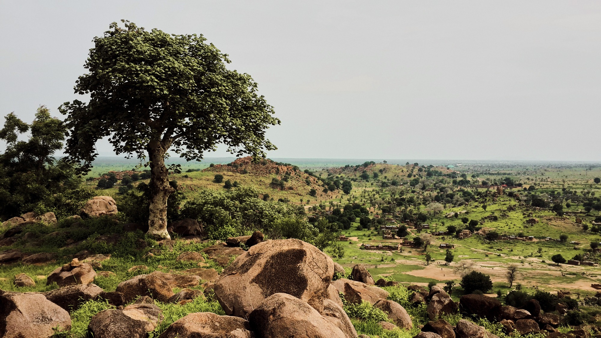 Green landscape rocky hills scattered trees daytime