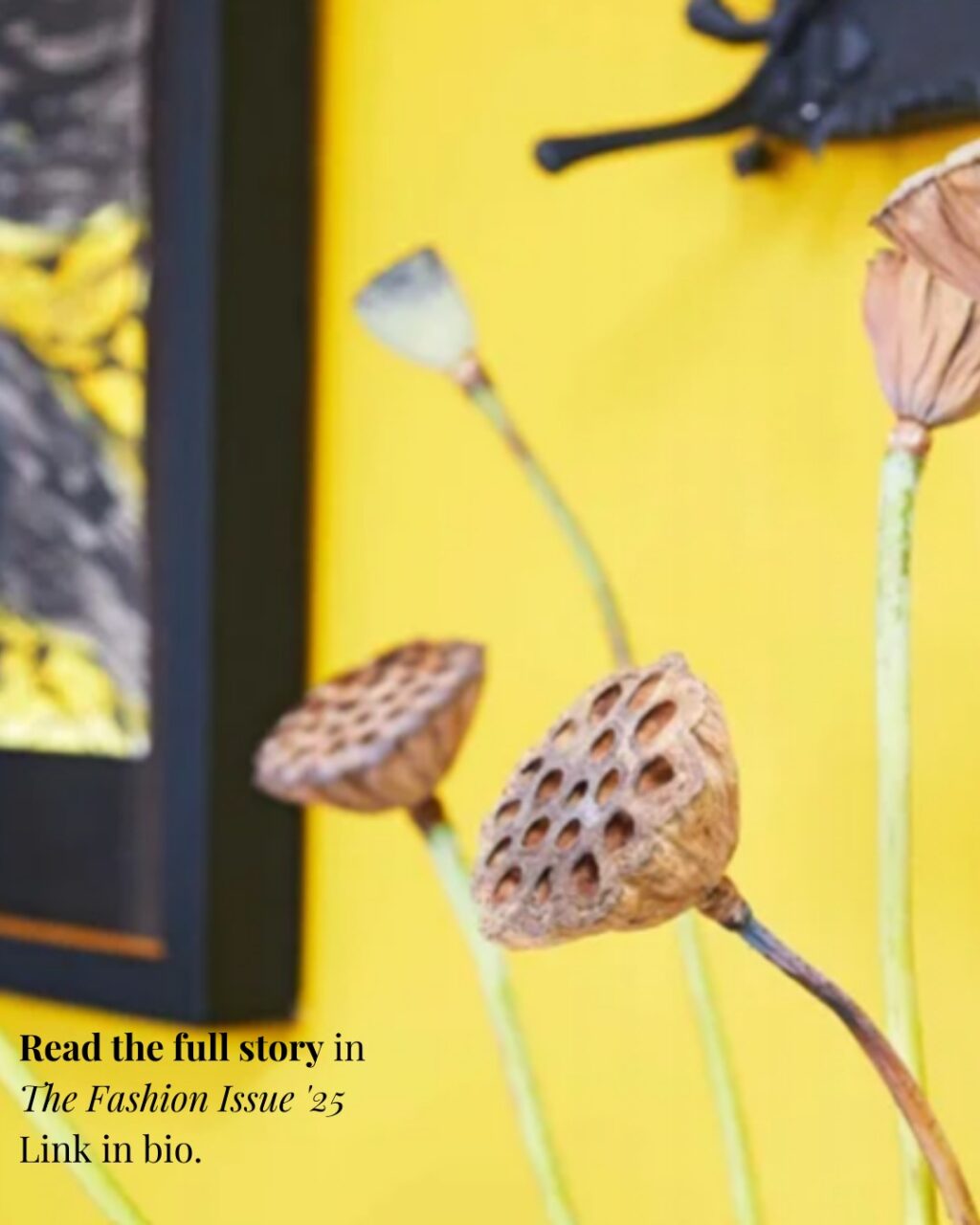 Instagram post from trooramagazine. This post is in position 6.